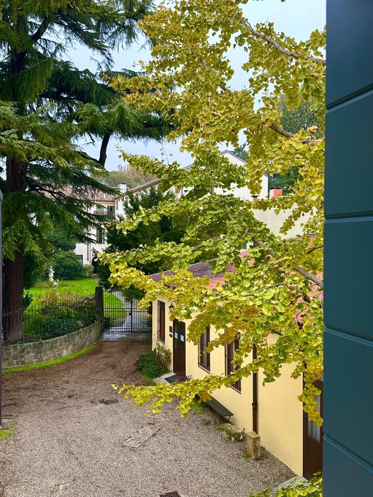 Foresteria Conti, Sulle Tracce Di Shakespeare Padua Exterior foto